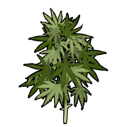 22.png
