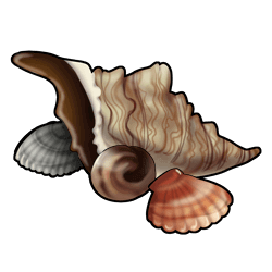 35.png