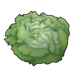 46.png