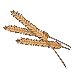 48.png