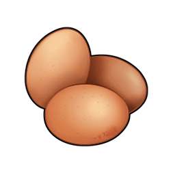 51.png