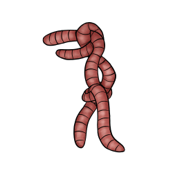 98.png